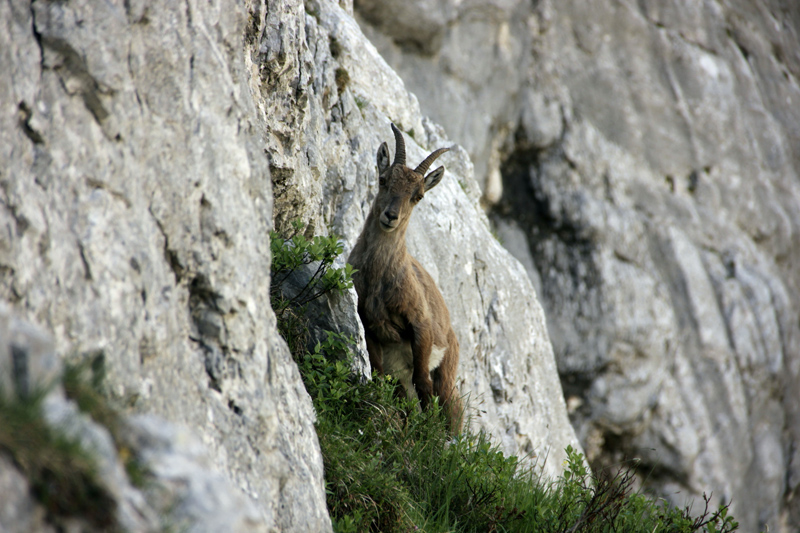 Triglav 2017-76